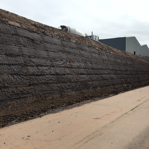 Curragh fas tre image